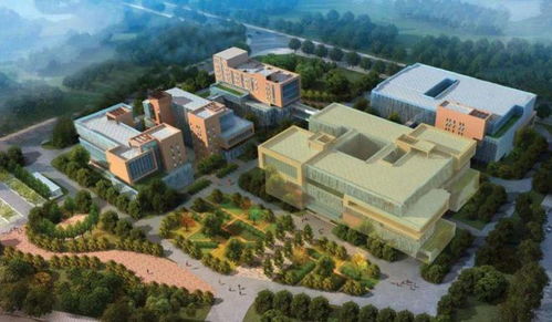 重磅 這個黃金地段將打造合成生物制造轉(zhuǎn)化加速新標桿