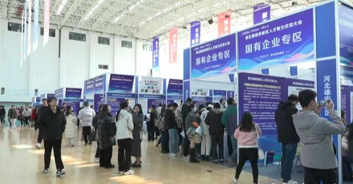 第五屆雄安人才智力交流大會(huì)啟動(dòng),3084人次達(dá)成引才意向