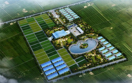 涼城縣供熱管網(wǎng)概念規(guī)劃設(shè)計(jì)怎么寫